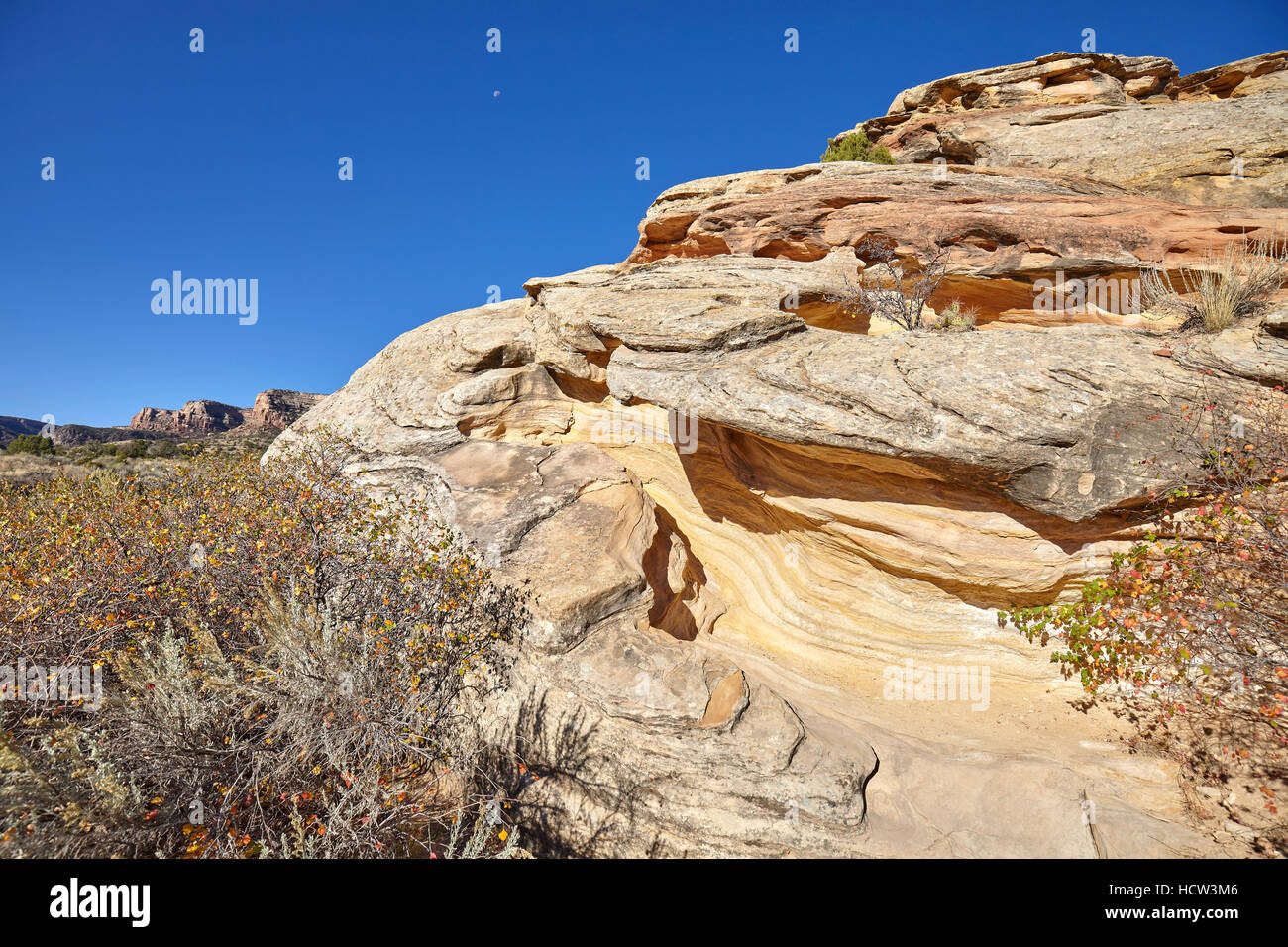 Felsformationen in den Colorado National Monument, Colorado, USA. Stockfoto