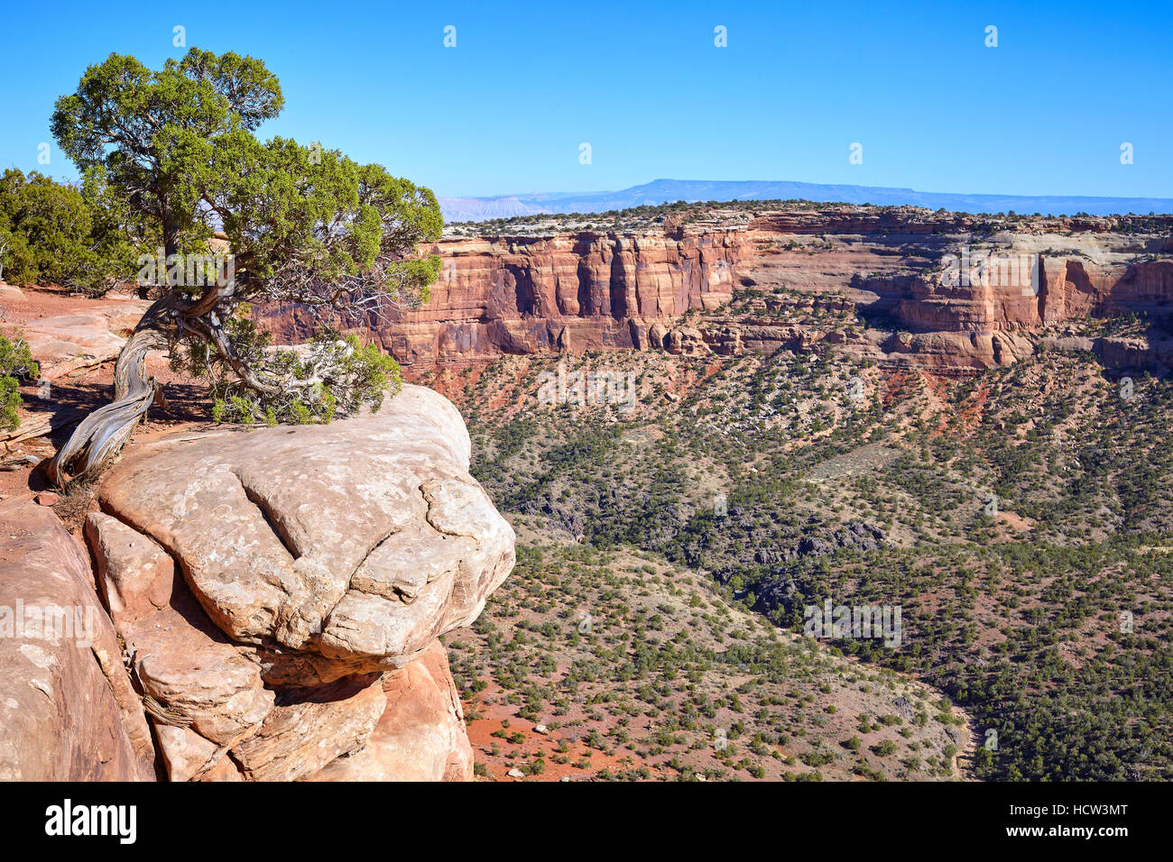Klippe in den Colorado National Monument Canyon, Colorado, USA. Stockfoto