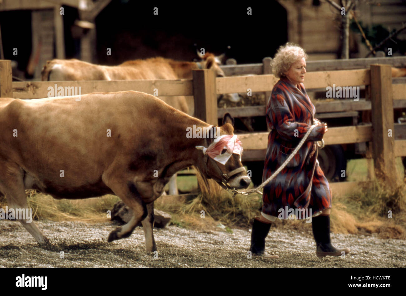 LAKE PLACID, Betty White, 1999, TM und Copyright (c) 20th Century Fox Film Corp. Alle Rechte vorbehalten. Stockfoto