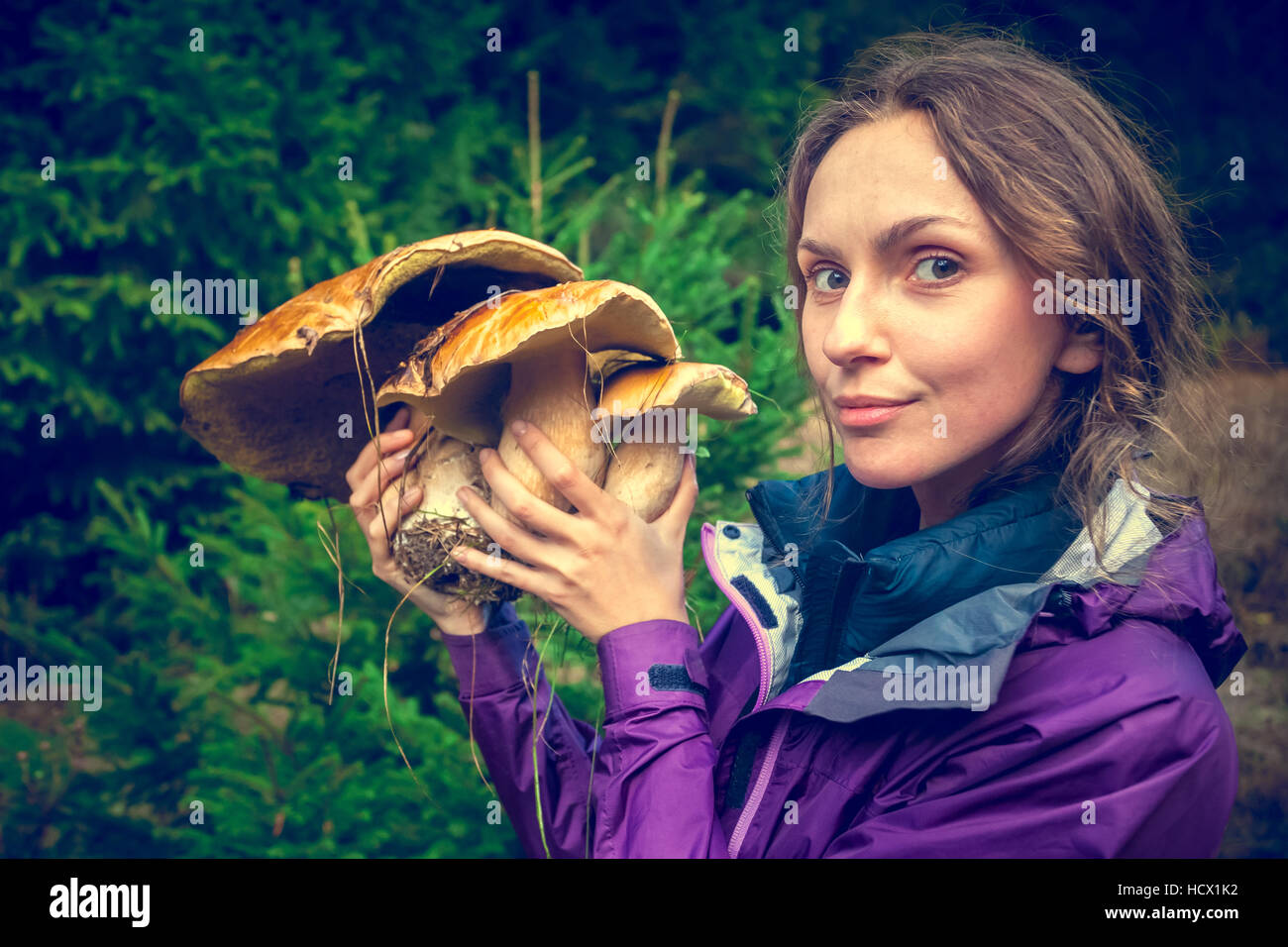 Mädchen Pilze sammeln Stockfoto