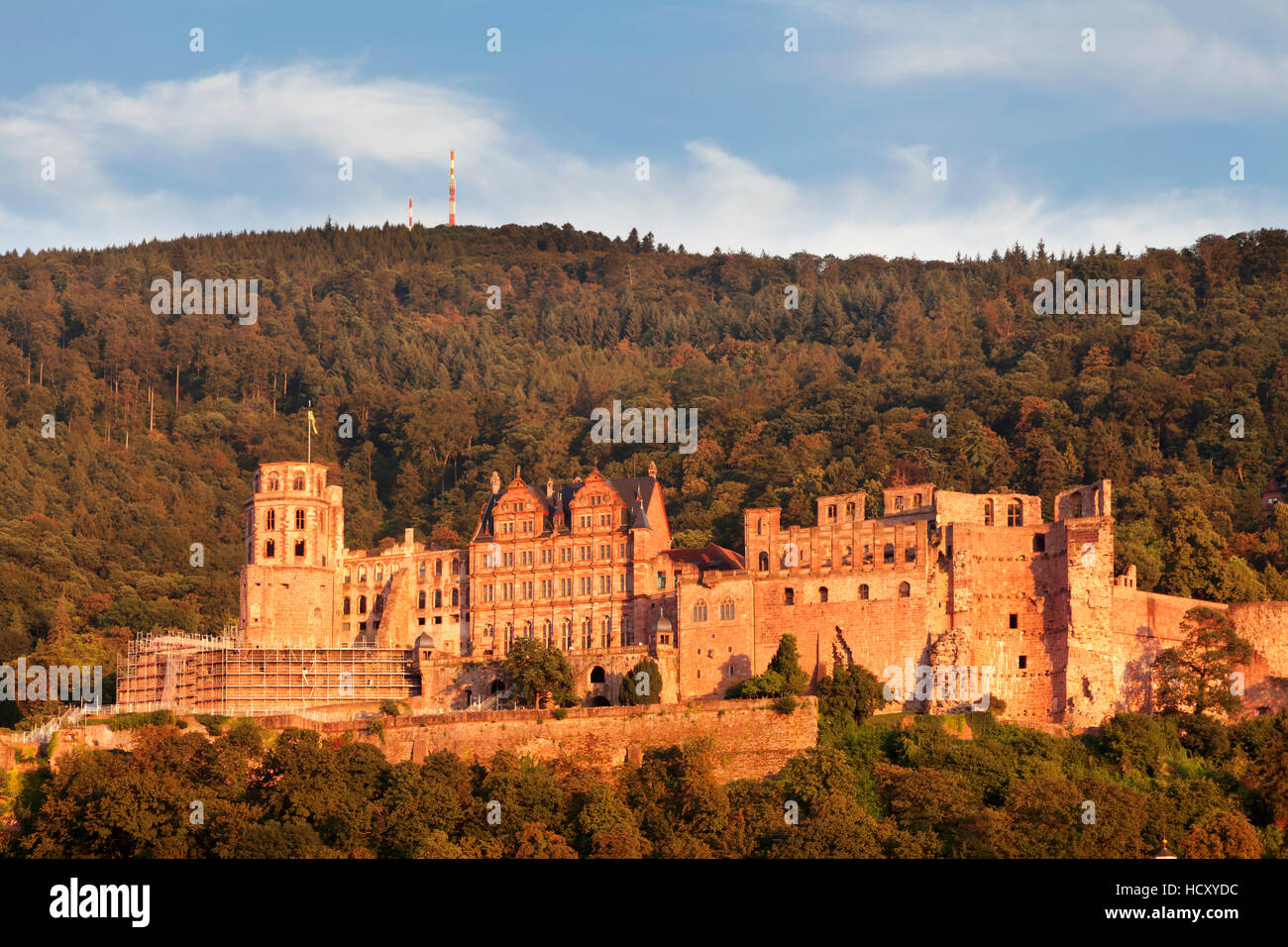 Burg bei Sonnenuntergang, Heidelberg, Baden-Württemberg, Deutschland Stockfoto