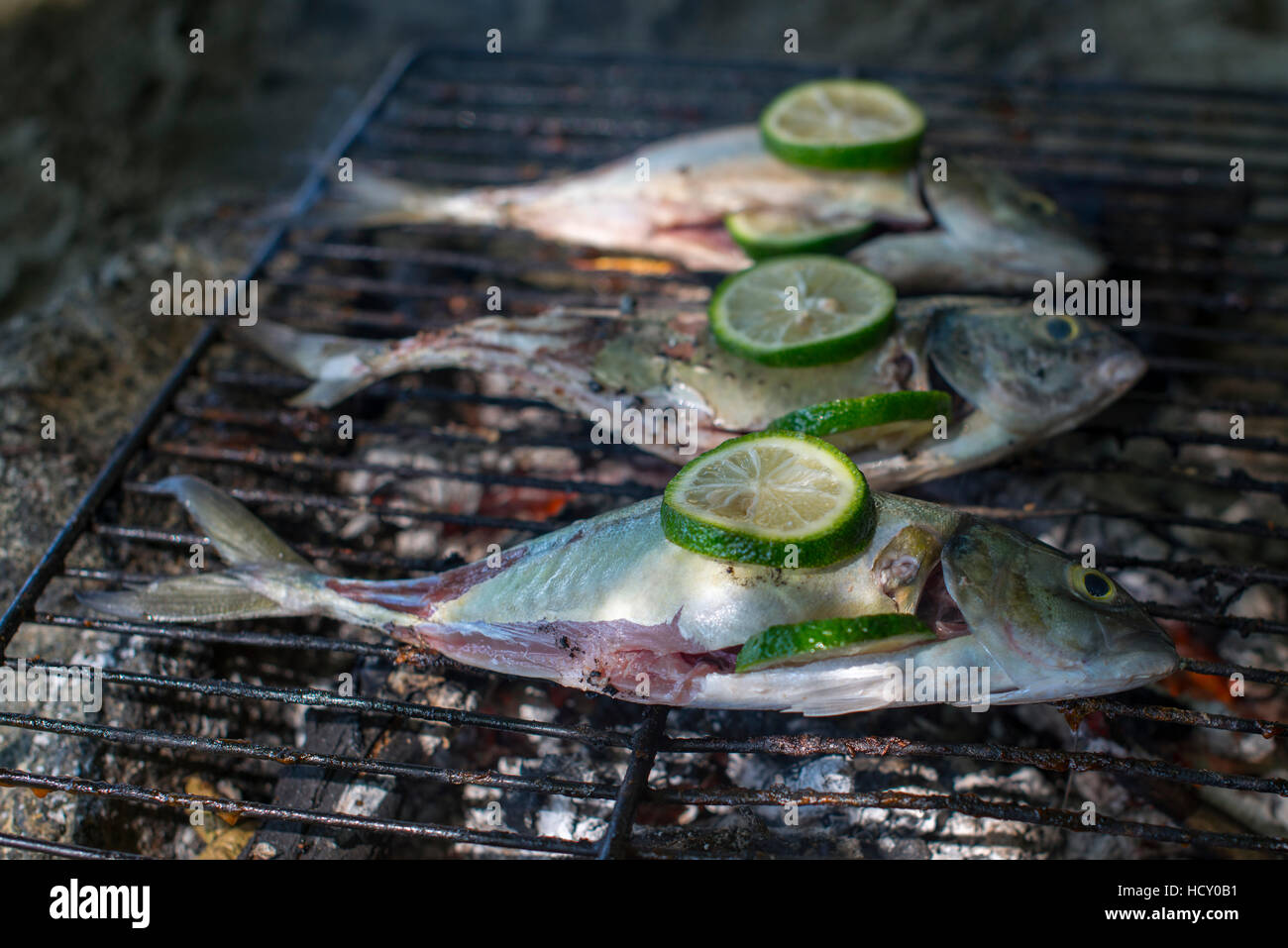 Fisch-Grill am Strand von Castara Bay auf der Karibik Insel Tobago, Trinidad und Tobago, West Indies, Karibik Stockfoto