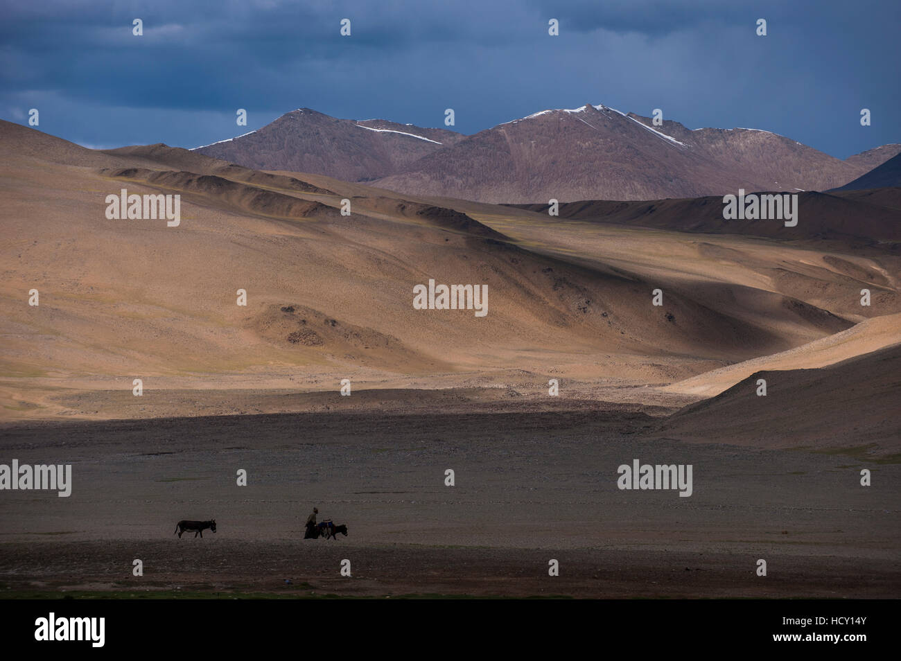 Ein Nomade in der Nähe von Tso Moriri in der abgelegenen Region Ladakh, Nordindien Stockfoto