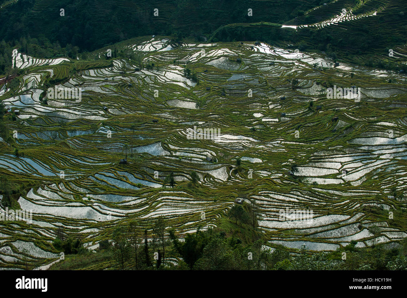 Altmodisch über Hunderte von Jahren durch die Hani, diese Terrassen bedecken eine Fläche von rund 12500 ha, Yuanyang, Provinz Yunnan, China Stockfoto