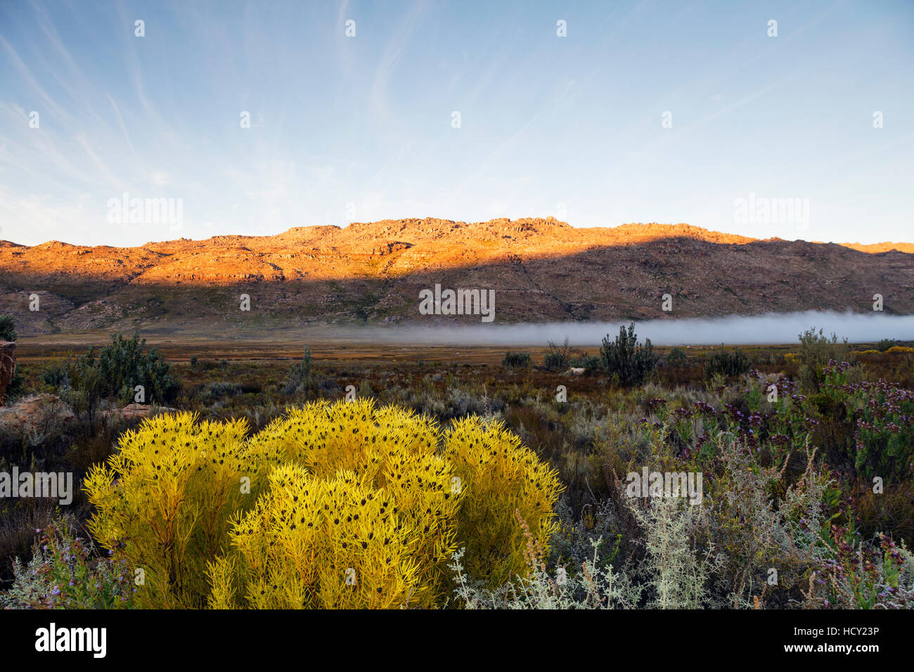 Cederberg Wilderness Area, Western Cape, South Africa, Südafrika Stockfoto