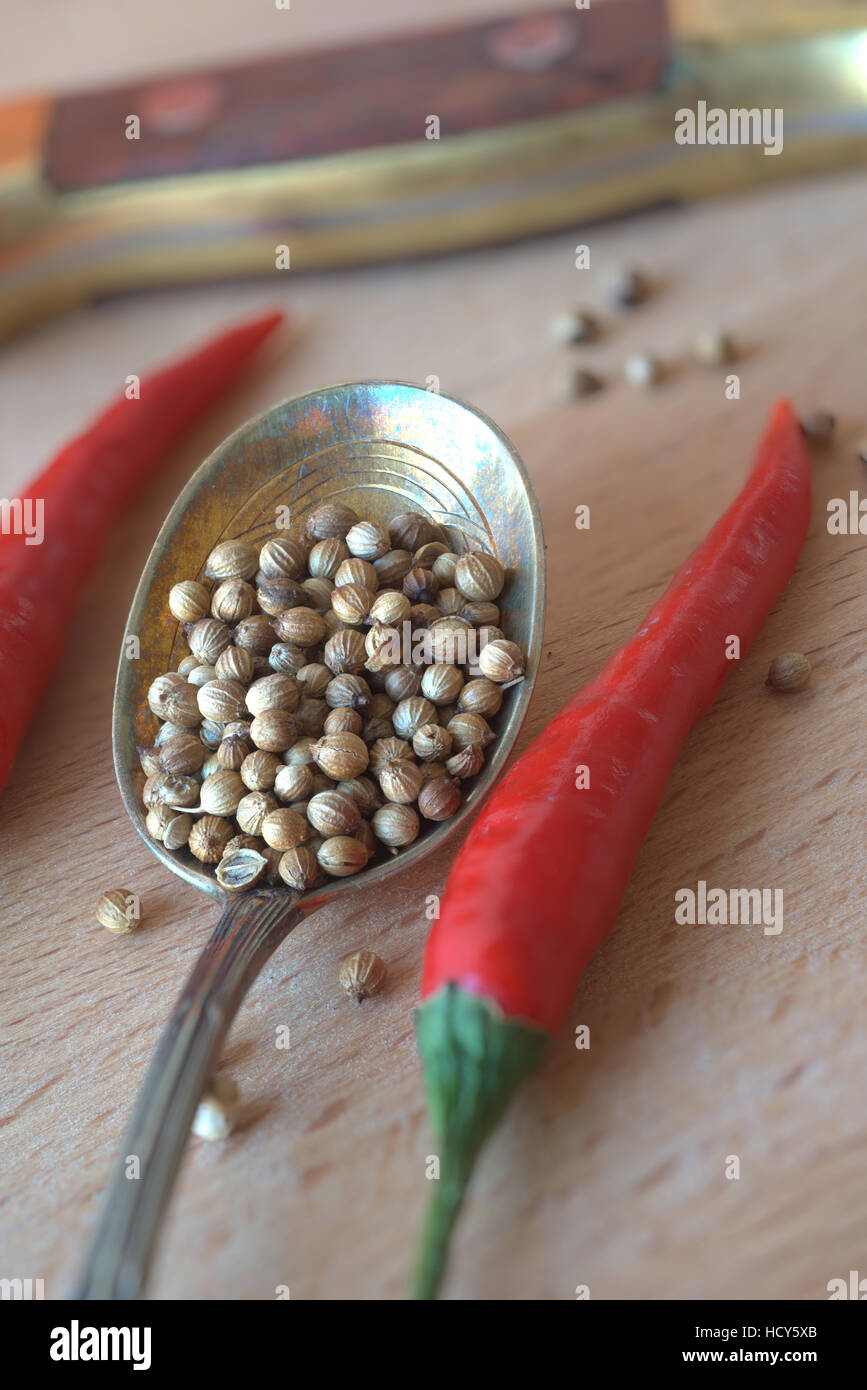 Koriandersamen und rote chilis Stockfoto