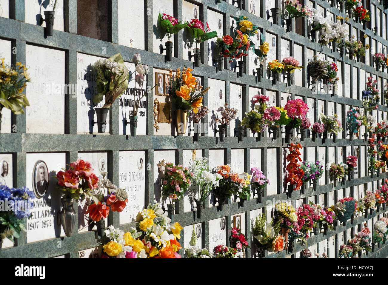 Grabsteine auf einem Friedhof mit rosa Tulpen vor die Grabsteine ausgerichtet. Stockfoto
