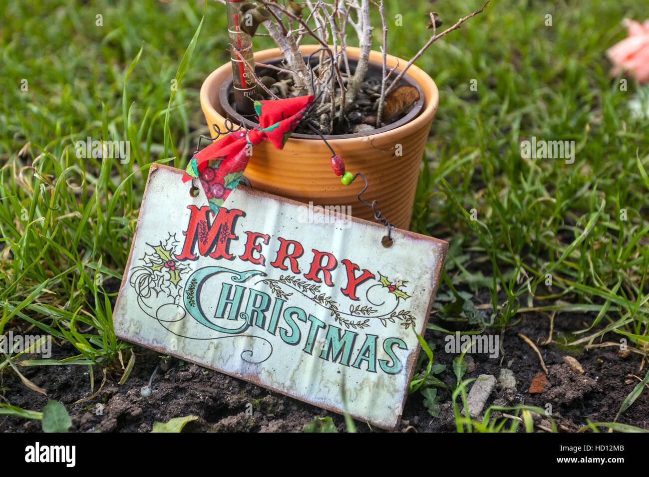 Platte mit der Aufschrift Frohe Weihnachten, Blumentopf, trockener Pflanzentopf Stockfoto