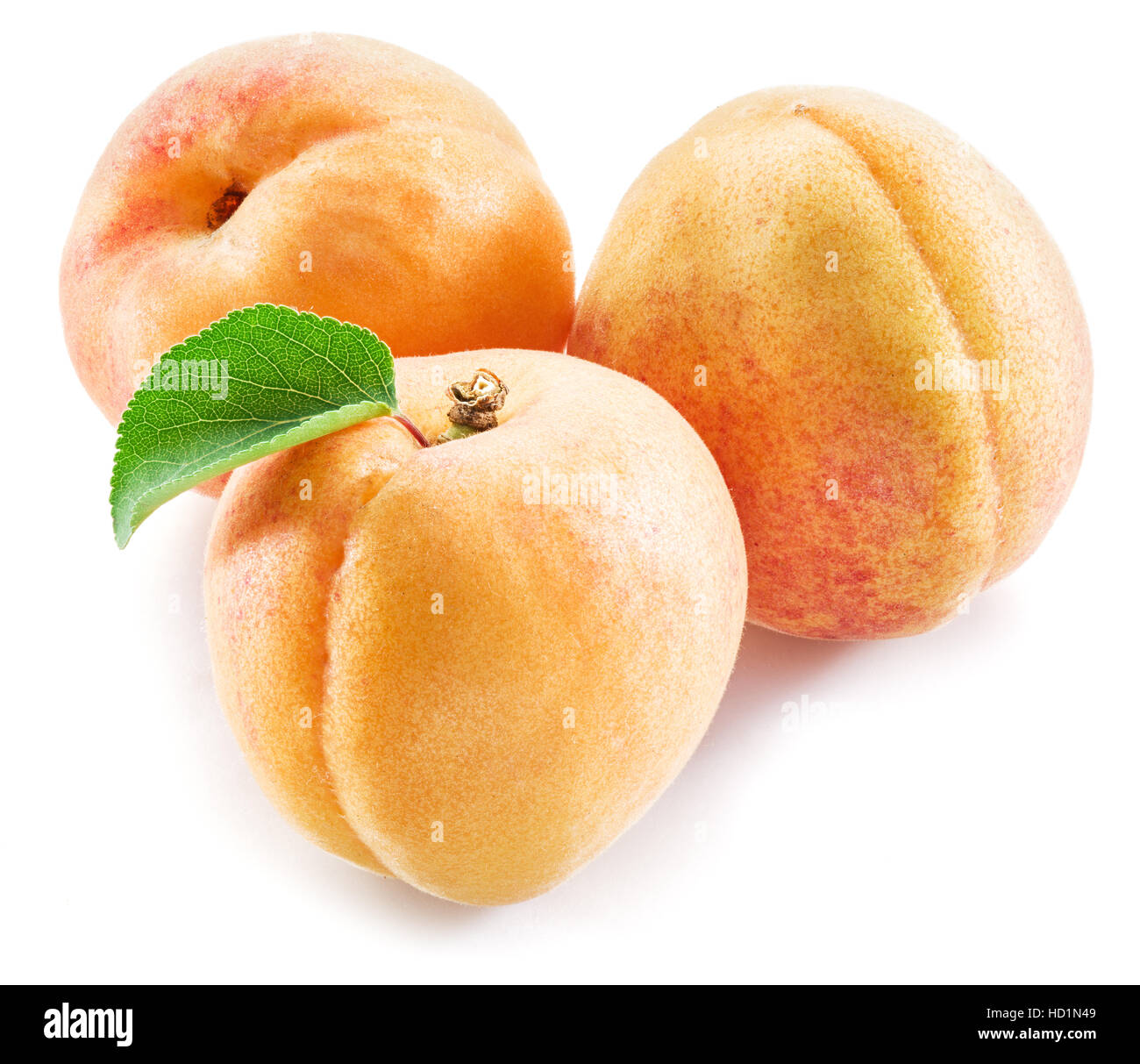 Aprikose Frucht mit Blättern auf dem weißen Hintergrund. Stockfoto