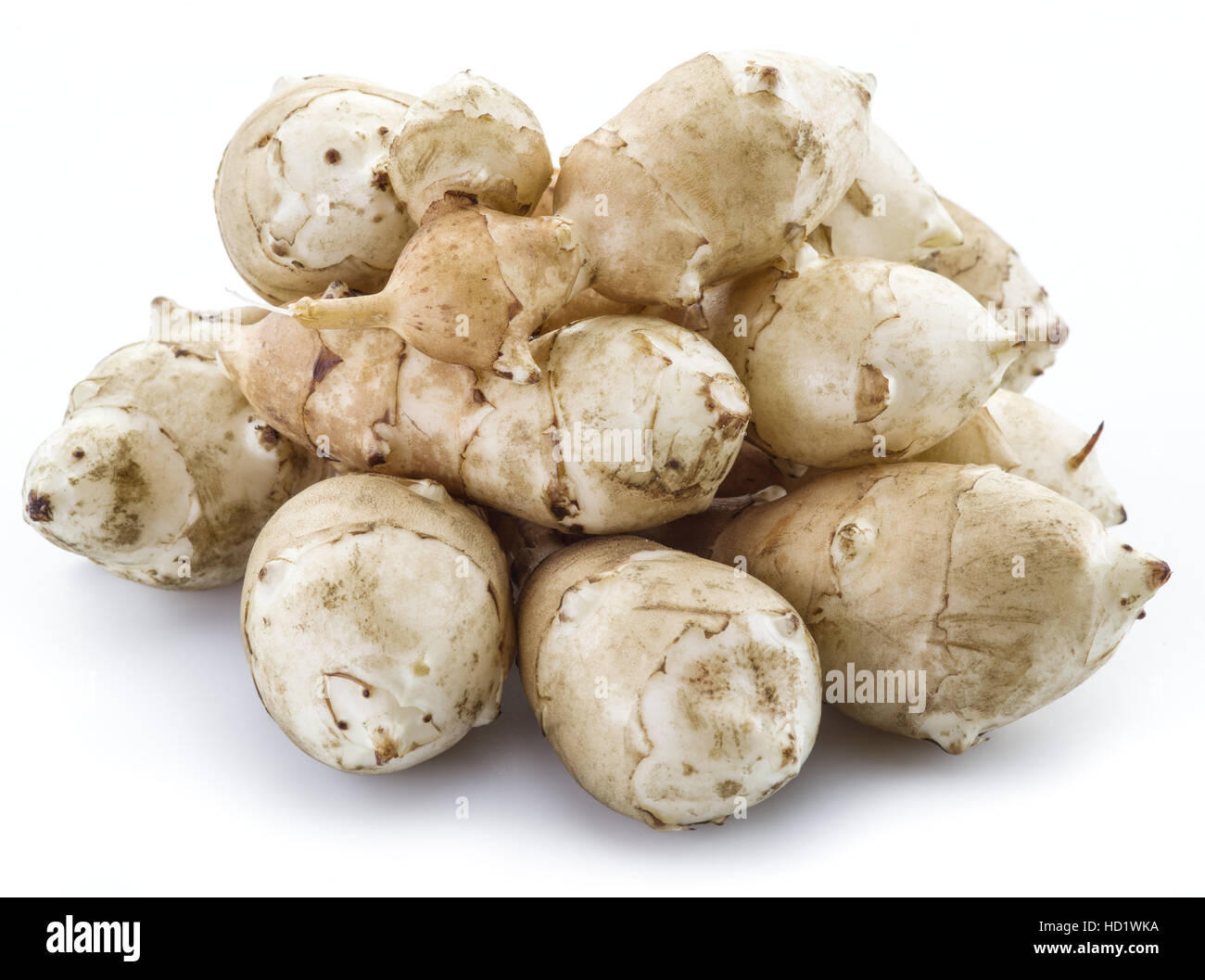 Topinambur auf weißem Hintergrund. Stockfoto