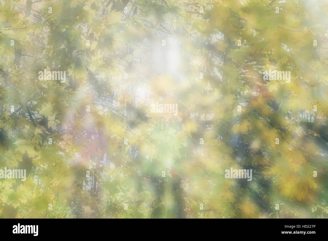 Herbst Hintergrund, verschwommene Silhouetten von Kindern Stockfoto