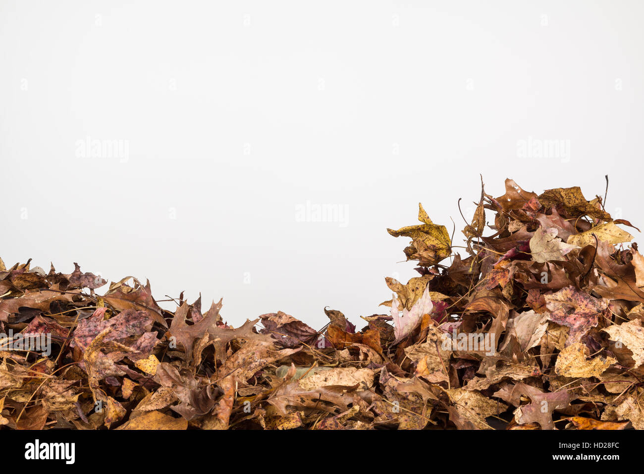 Hintergrund der Blocklagerung getrocknete Blätter im Herbst in horizontaler Ausrichtung. Stockfoto