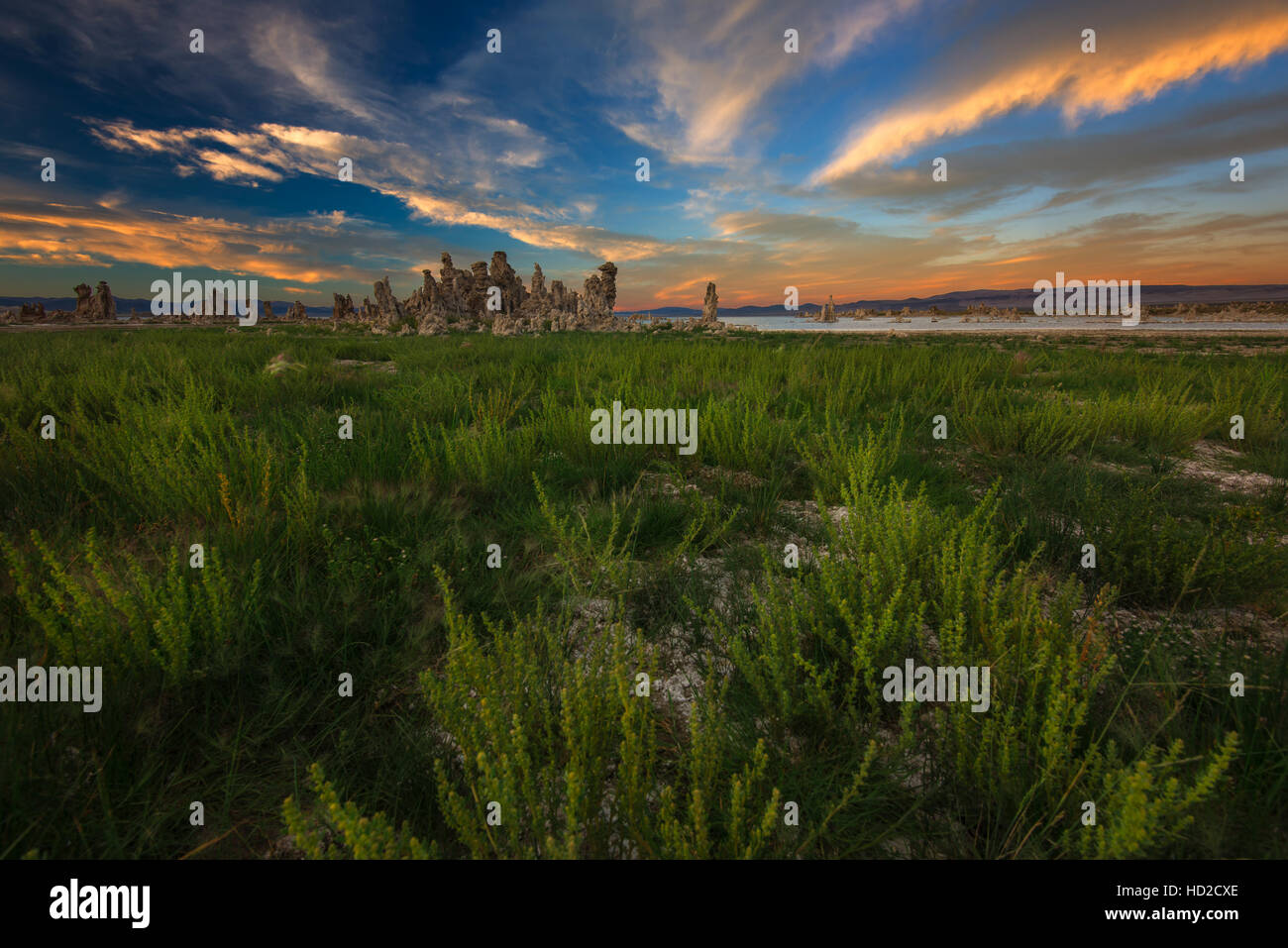 Gras- und Tufas während des Sonnenuntergangs Stockfoto