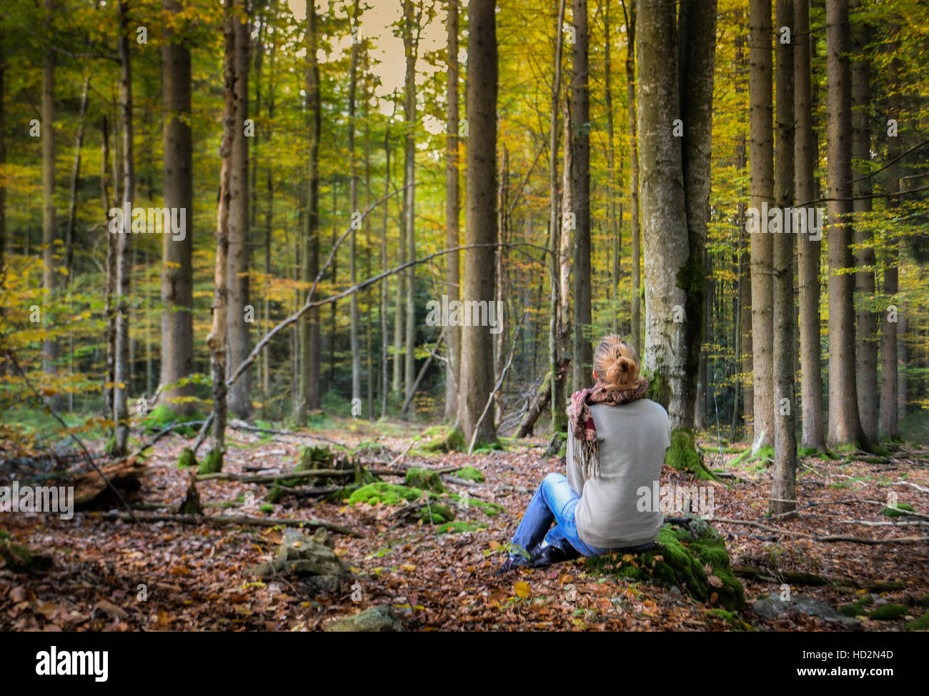 Eine junge Frau sitzt auf einem bemoosten Stein in einem Wald und meditieren. Stockfoto