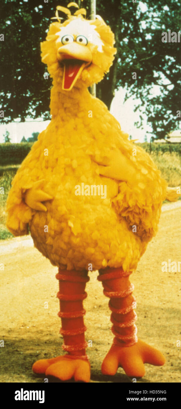 Vogel In Der Sesamstraße 4 Buchstaben