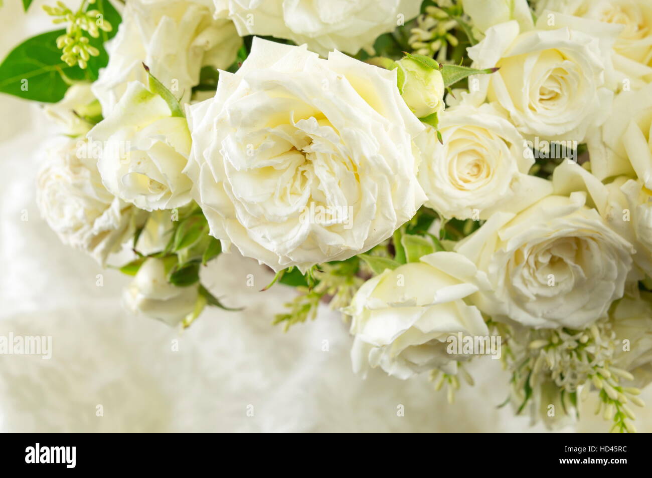 Bouquet von weißen Rosen auf ein weißes Tuch angeordnet Stockfoto