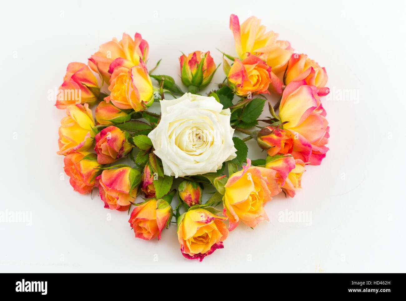 Orange-weiße Rosen in Herzform Stockfoto
