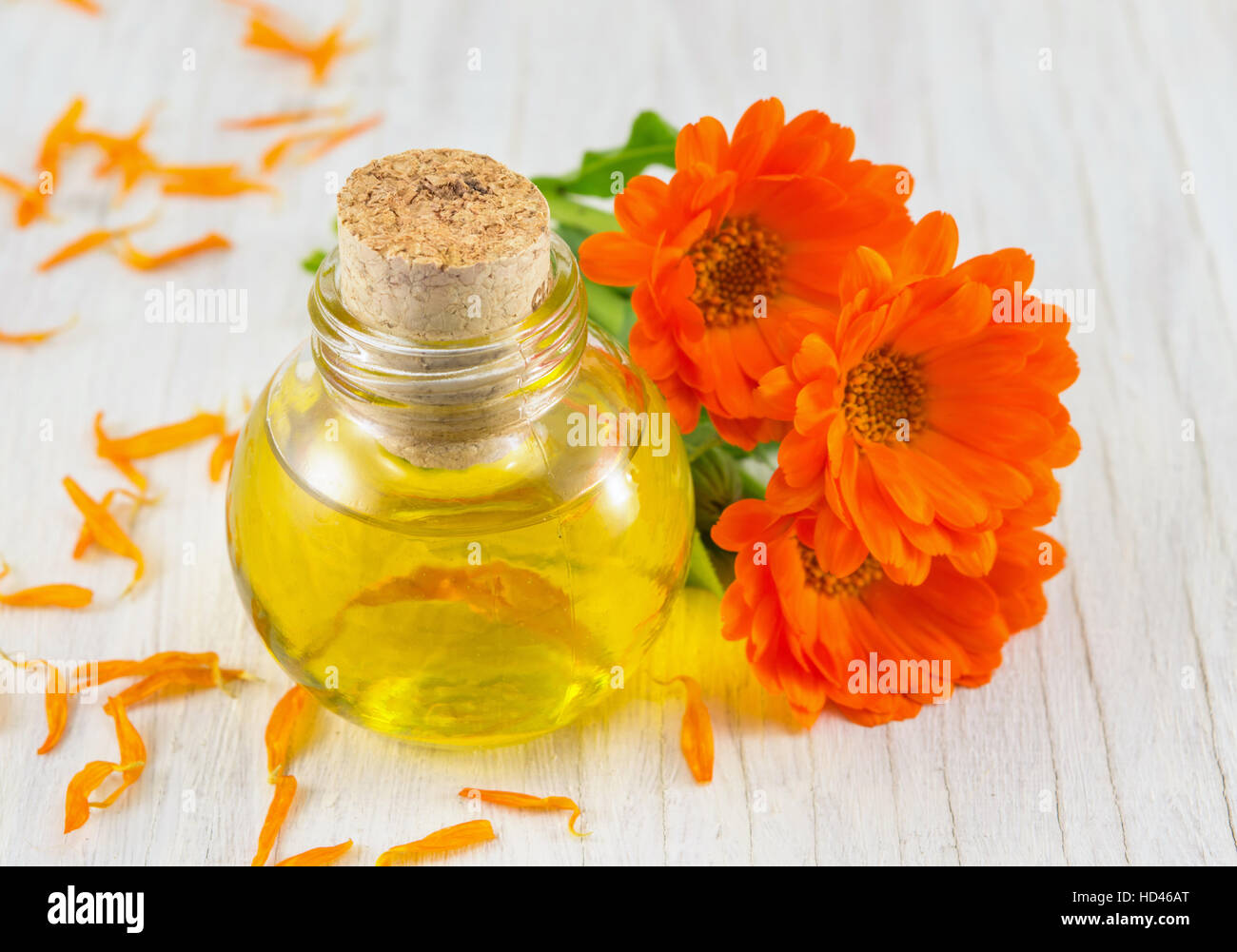 Ringelblume-Öl mit einem frischen Blumenstrauß. Naturkosmetik Stockfoto