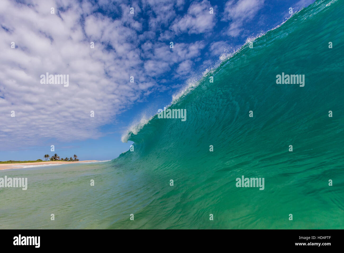 Eine Ufer-Pause-Welle am Sandy Beach Park auf Oahu, Hawaii. Stockfoto