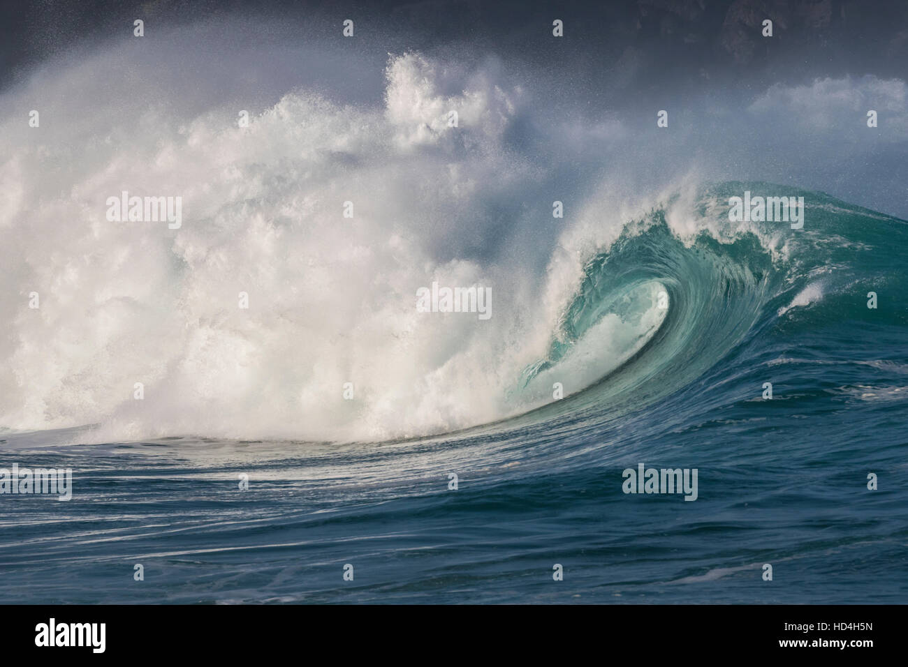 Eine große Welle in der Wintersaison an der North Shore in Waimea Bay. Stockfoto