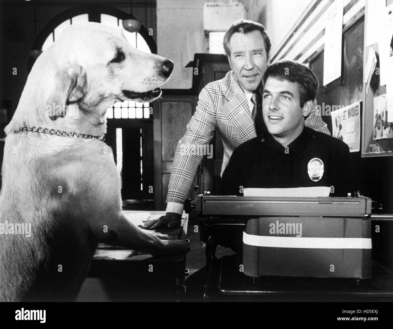 SAM, Links: Sam, rechts von oben: Len Wayland, Mark Harmon, 1978. Stockfoto