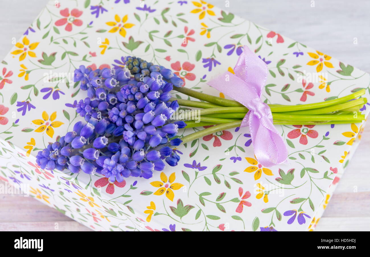 Bluebell Frühlingsblumen auf Blumen-Muster-Fall Stockfoto