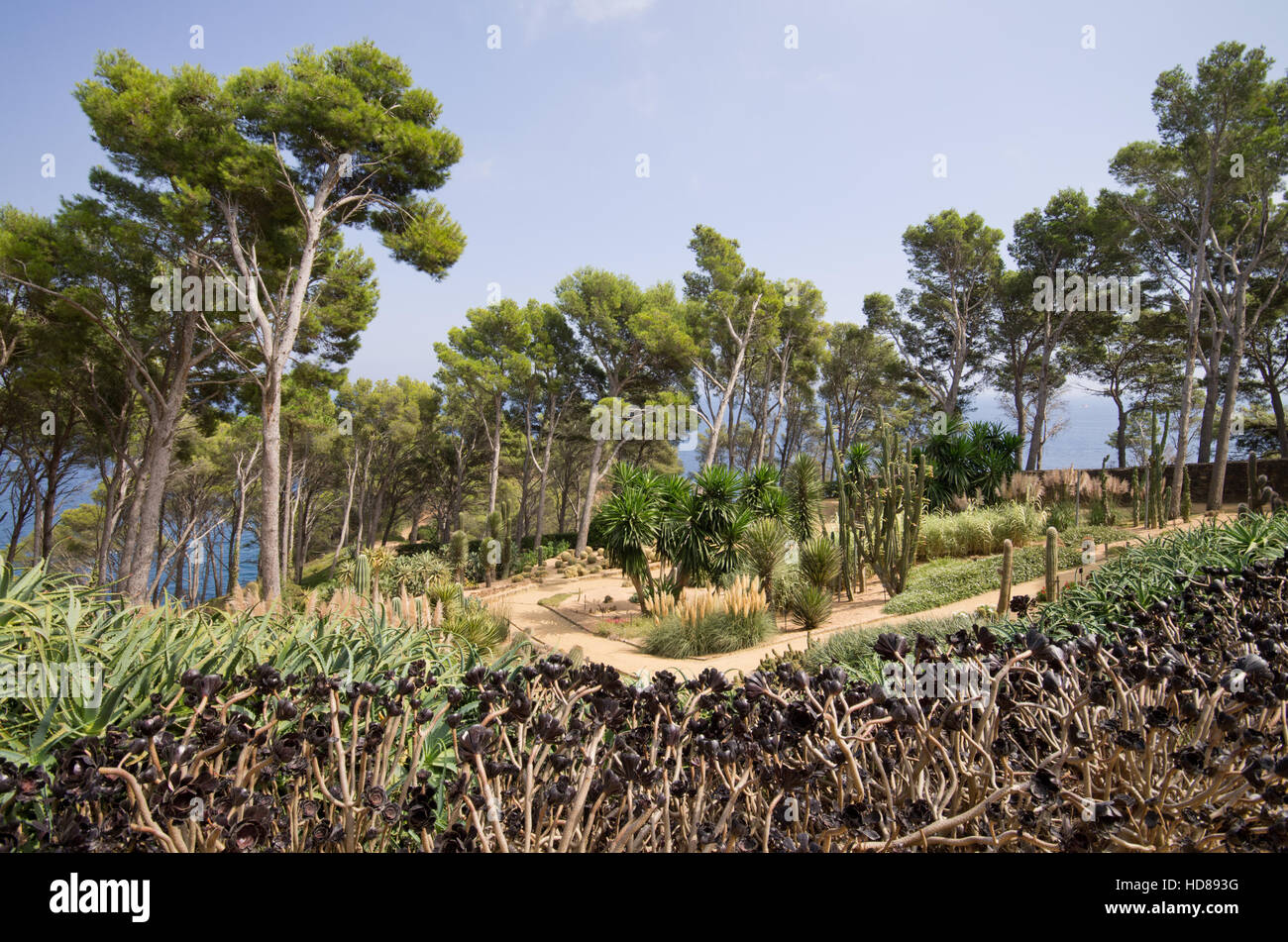 Cap Roig tropische Gärten Stockfoto