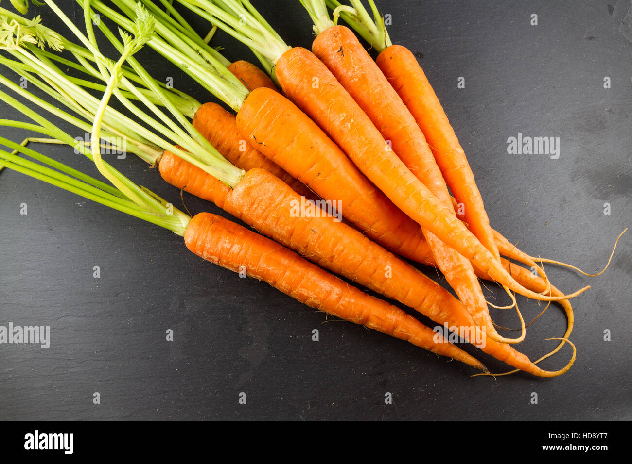 Karotten oder Daucus Carota Haufen mit Blättern auf einem dunklen Schiefer Hintergrund. Stockfoto