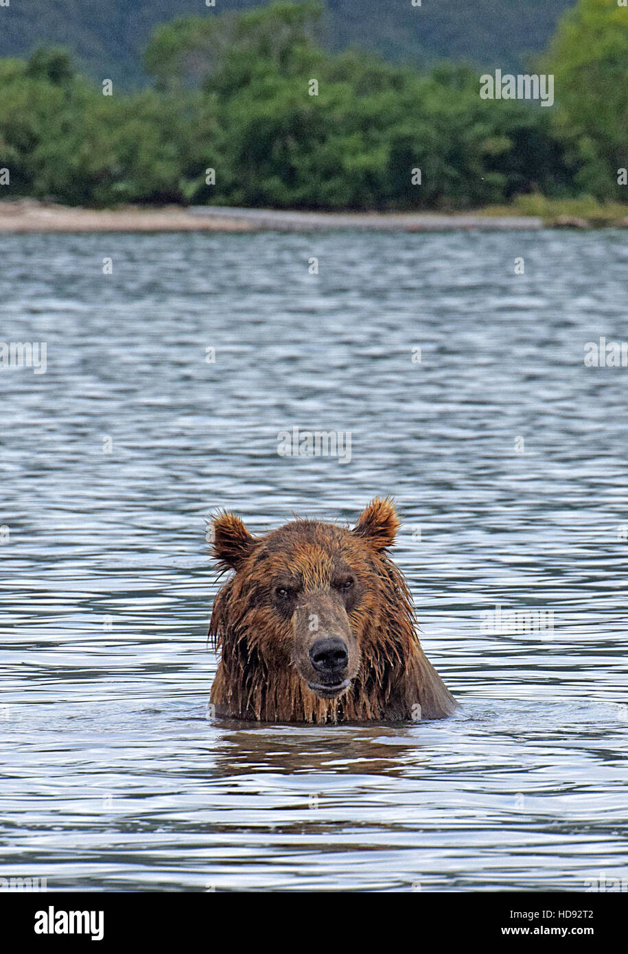 Kamtschatka Halbinsel Russland Stockfoto