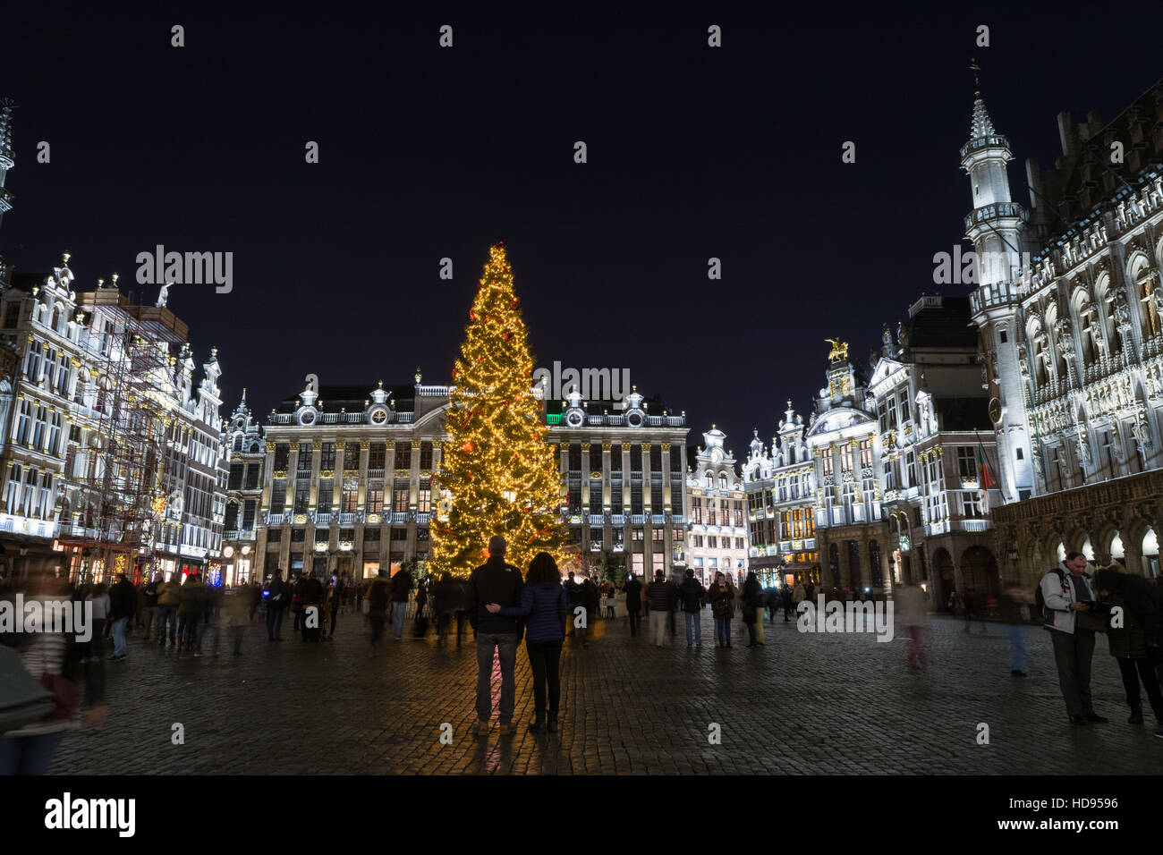 Grand Place Brüssel Weihnachtsbaum und Lichter Stockfoto