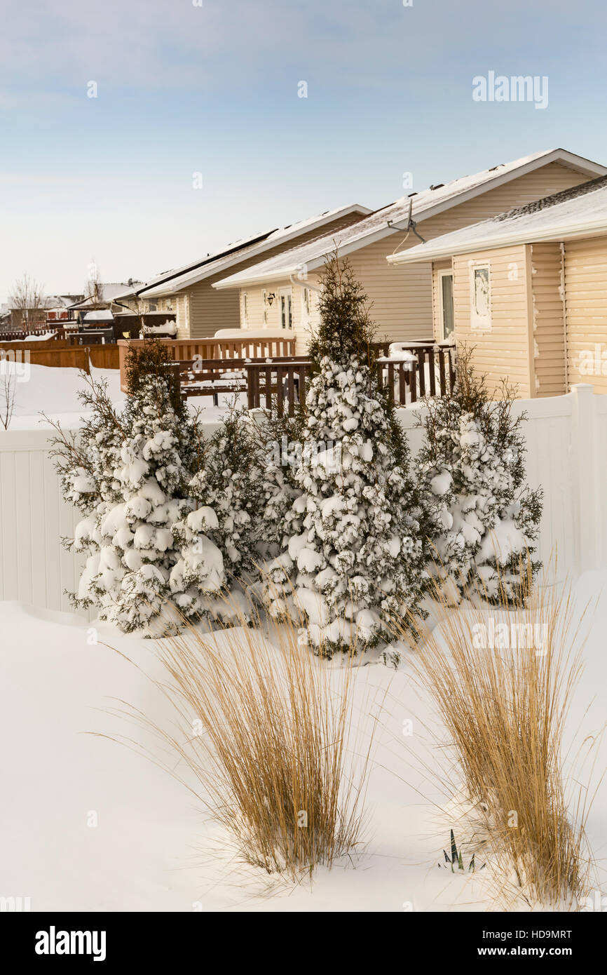 Ein Hinterhof-Schnee-Szene nach einem Schneesturm in Winkler, Manitoba, Kanada. Stockfoto
