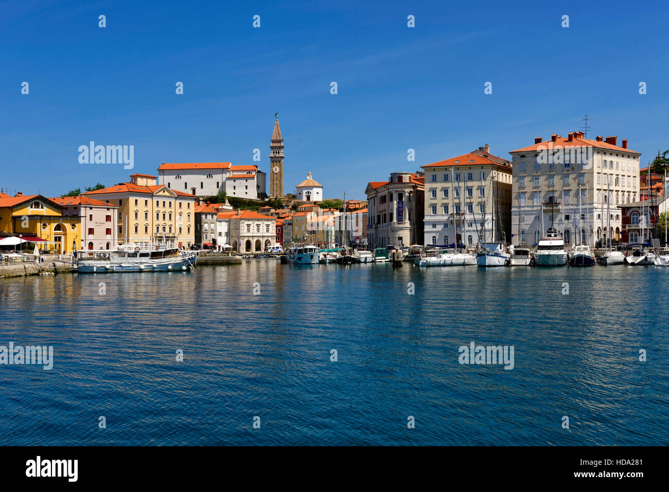 Piran: Hafen und Altstadt, Slowenien Stockfoto