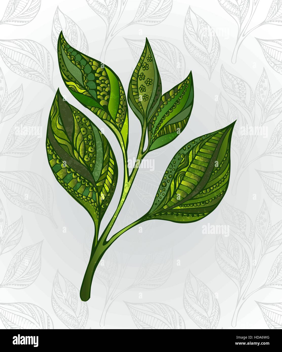 Grüner Tee sprießen, dekoriert mit einem abstrakten Muster auf einem grauen Hintergrund, verziert mit stilisierten Blättern. Tee-Design. Hand gezeichnet. Skizze, Zeichnung Stock Vektor