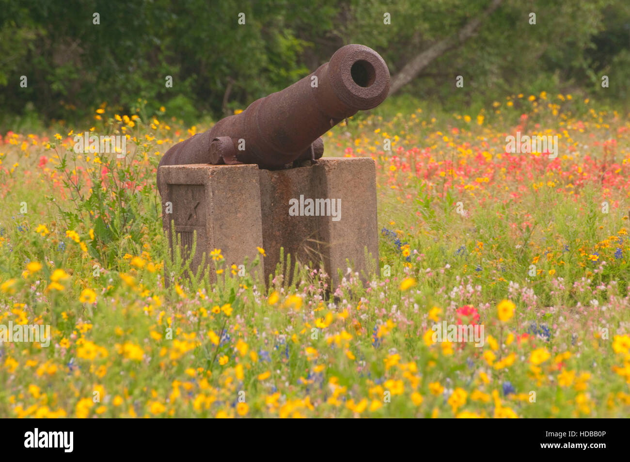 Kanone, Presidio La Bahia, Goliad, Texas Stockfoto