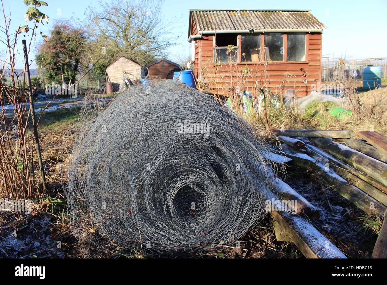 Zuteilung Roll Hähnchen Draht Mesh Schuppen Netting gespeichert Wintervorbereitung für Frühling Frühling Holz Frost Gartenarbeit Stockfoto