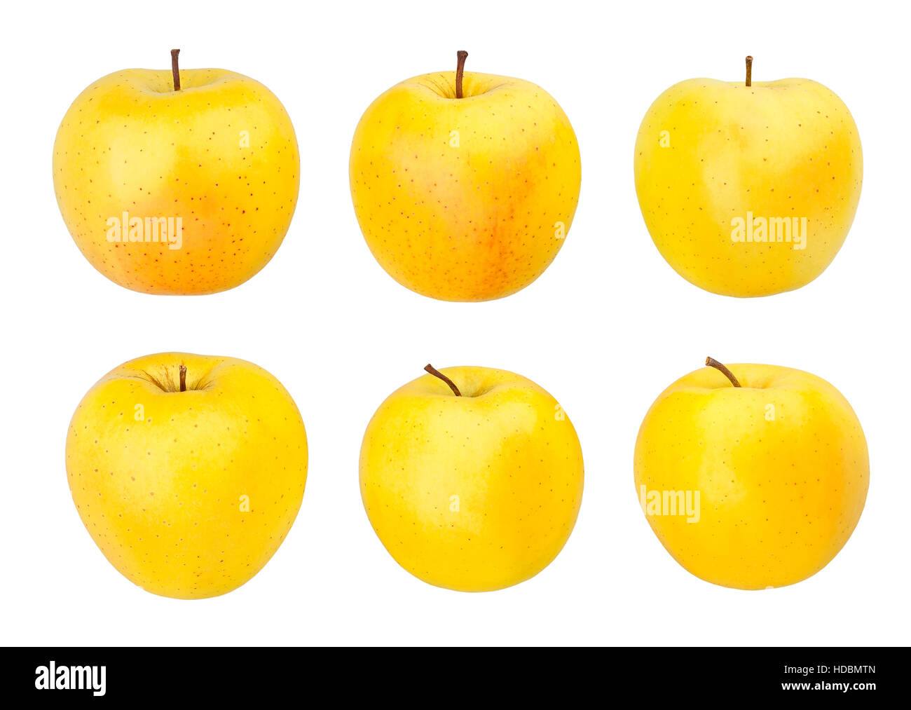 goldene Äpfel isoliert Stockfoto