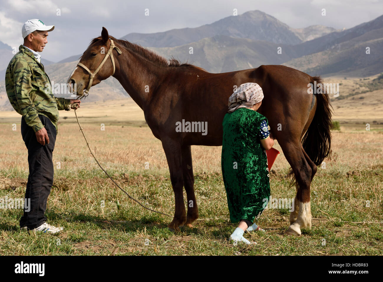 Mann Betrieb Stute während Frau das Pferd in Aksu-Zhabagly Natur Reserve Kasachstan melkt Stockfoto