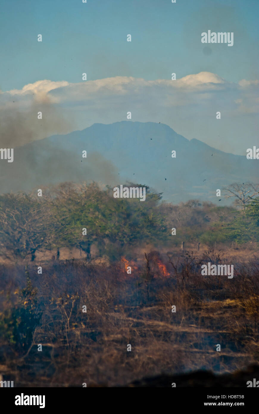 Wildfire in Guanacaste, Costa Rica Stockfoto