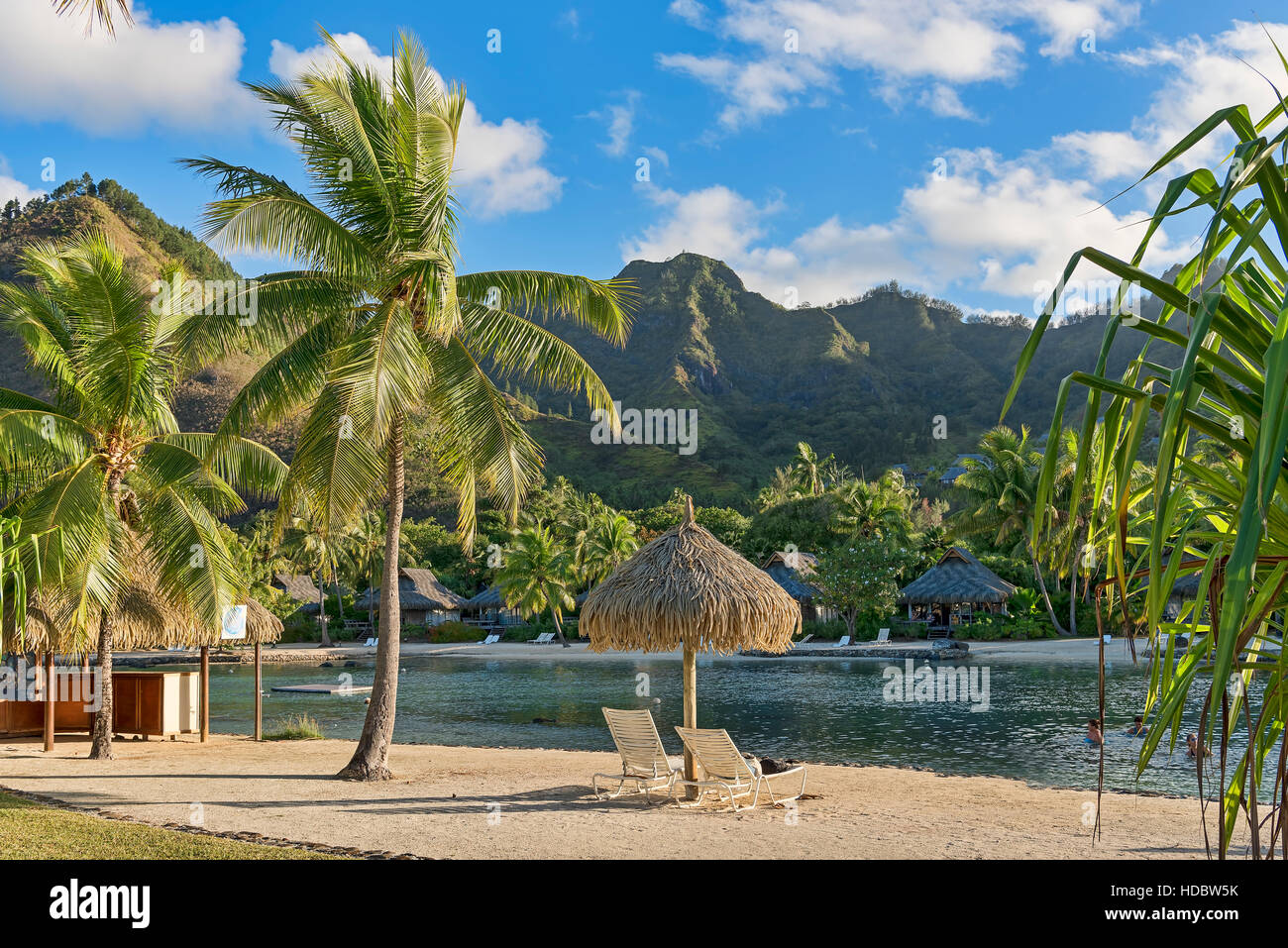 Liegestühle am Strand mit Palmen, Mo'orea, South Pacific, Französisch-Polynesien Stockfoto