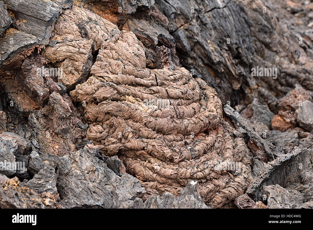 Kamtschatka Halbinsel Russland Stockfoto