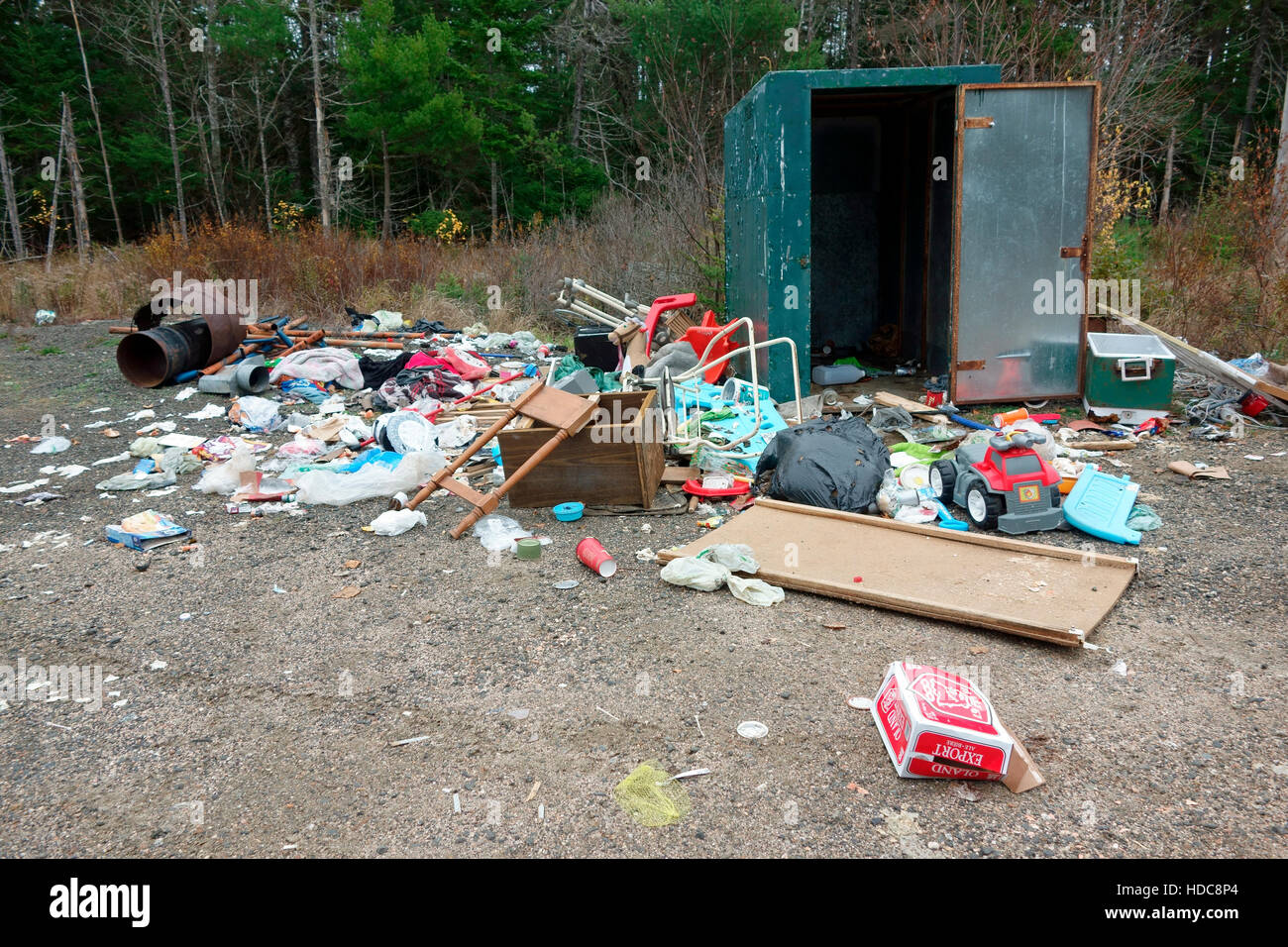 Müll übersät von einem Bären aus einem container Stockfoto