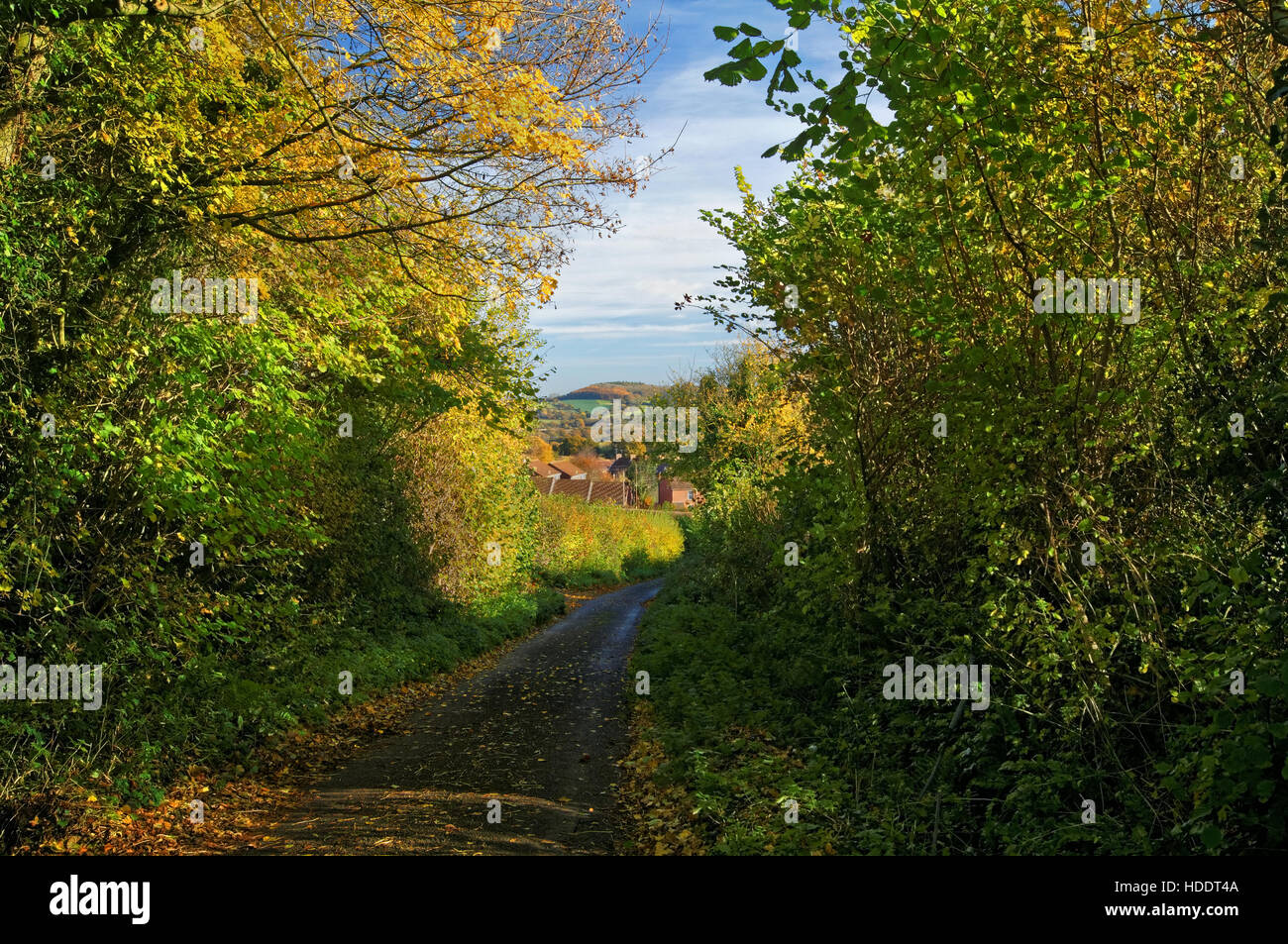 Catchgate Lane Blick auf Häuser und Sprays Berg, Chard, Somerset, UK Stockfoto