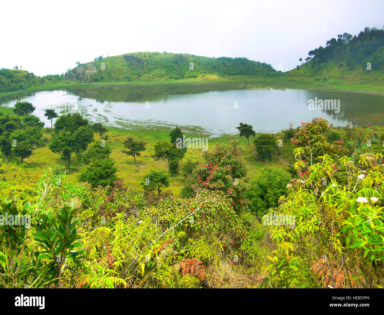 Dringo See. Einer der versteckten See auf Dieng Plateau. Stockfoto