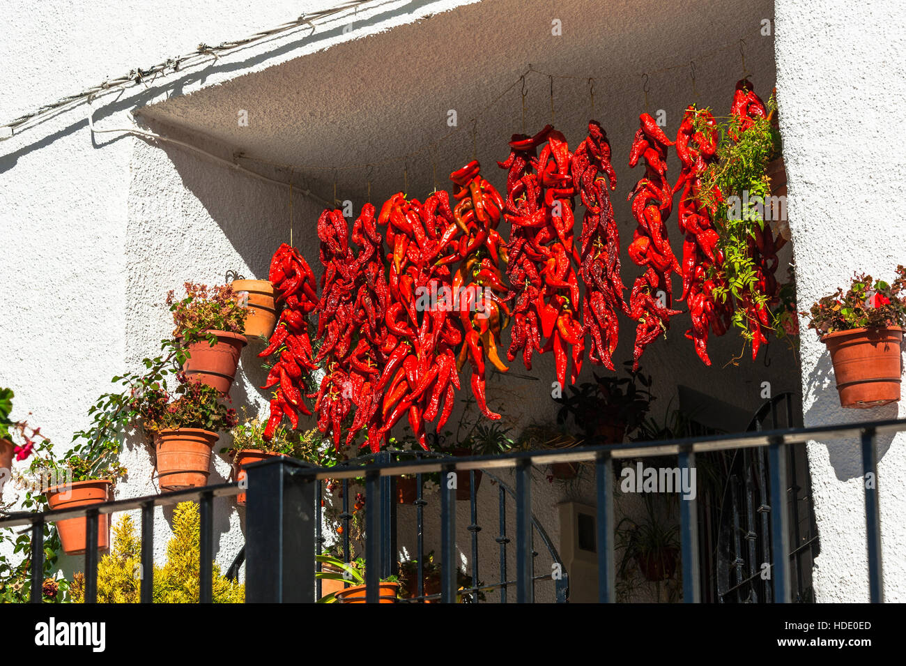 Pfeffer für Trocknung, regionale Produkte, Dorf Trevélez, Andalusien, Spanien Stockfoto