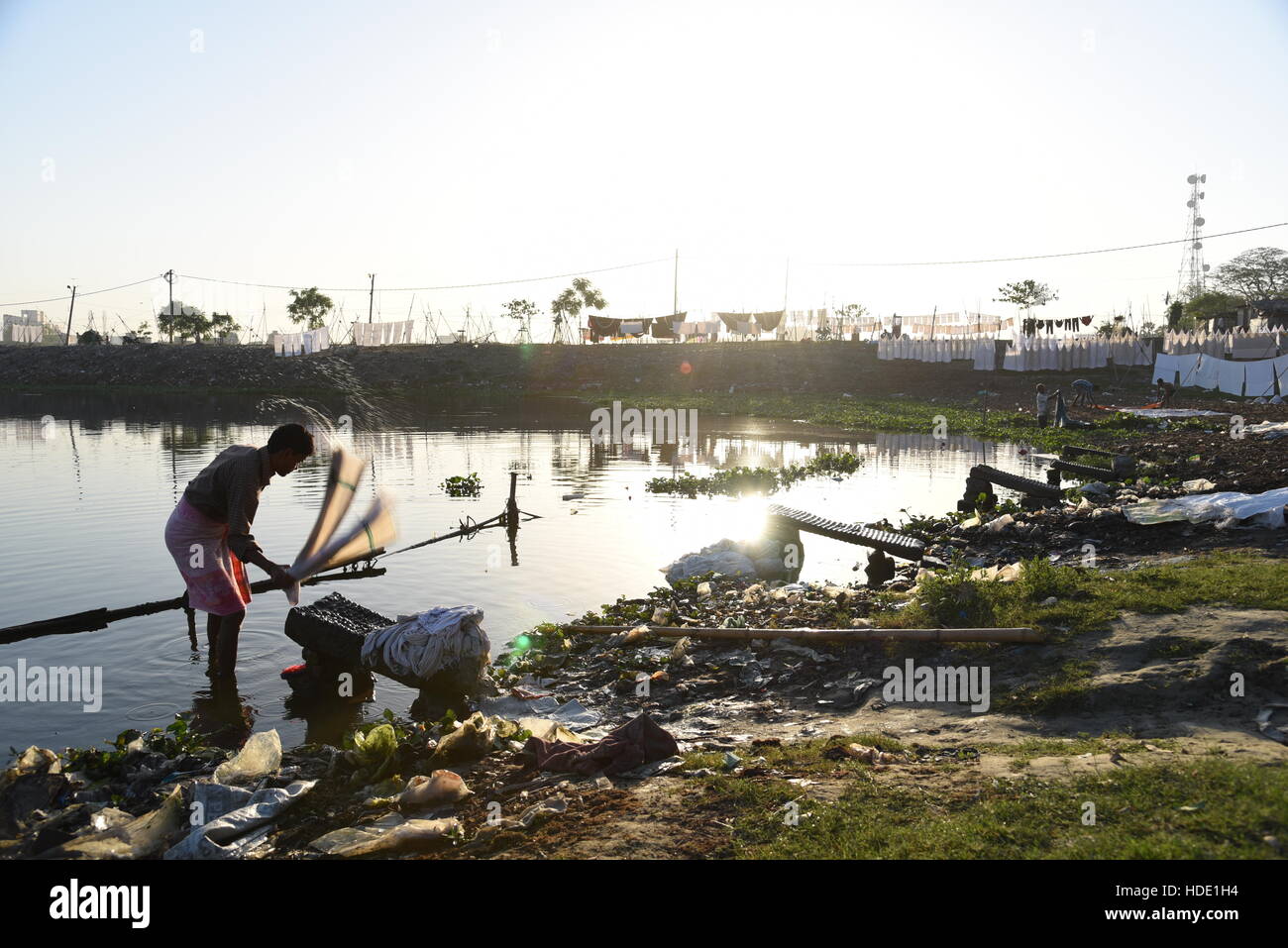 Eine indische Wäscher eine lokale Wäsche waschen von Kleidung am Ufer eines Sees in Muzaffarpur, Indien. Stockfoto