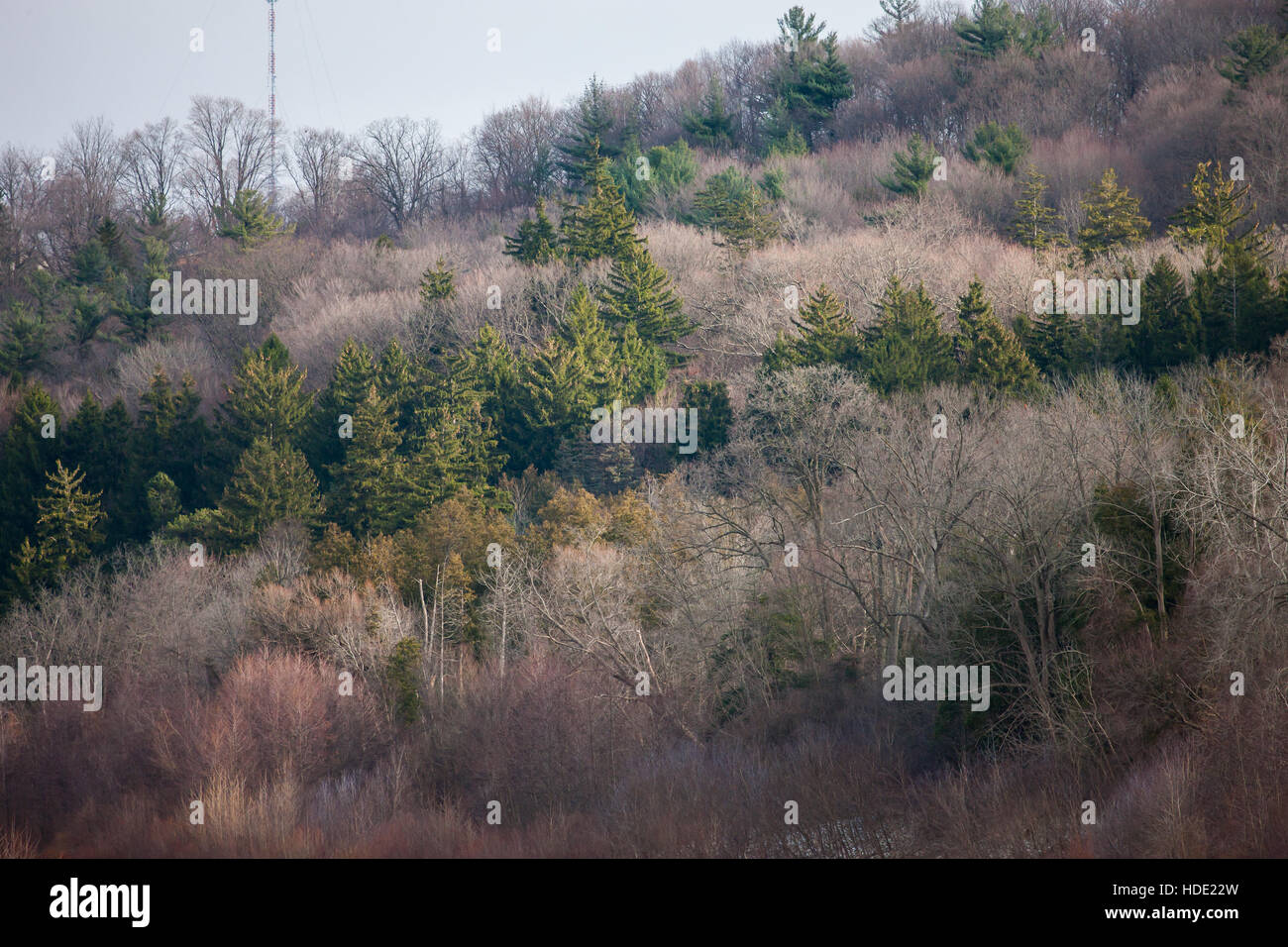 Sonnenlicht fällt die Seite eines Hügels, die Erstellung einer Vielzahl von Schattierungen, Farben und Schatten entlang der Themse-Rvier-Tal in Südwest-Ontario, Kanada. Stockfoto