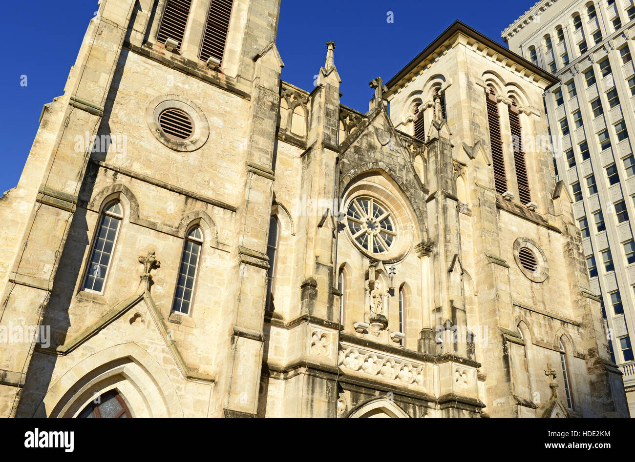 Die Kathedrale von San Fernando in San Antonio, Texas Stockfoto