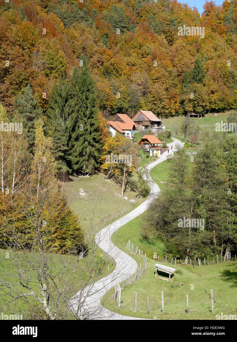 Kurvenreiche Straße führt zu einem Gehöft auf Blatni Vrh Plateau, Jurkloster Gemeinde, Slowenien. Stockfoto