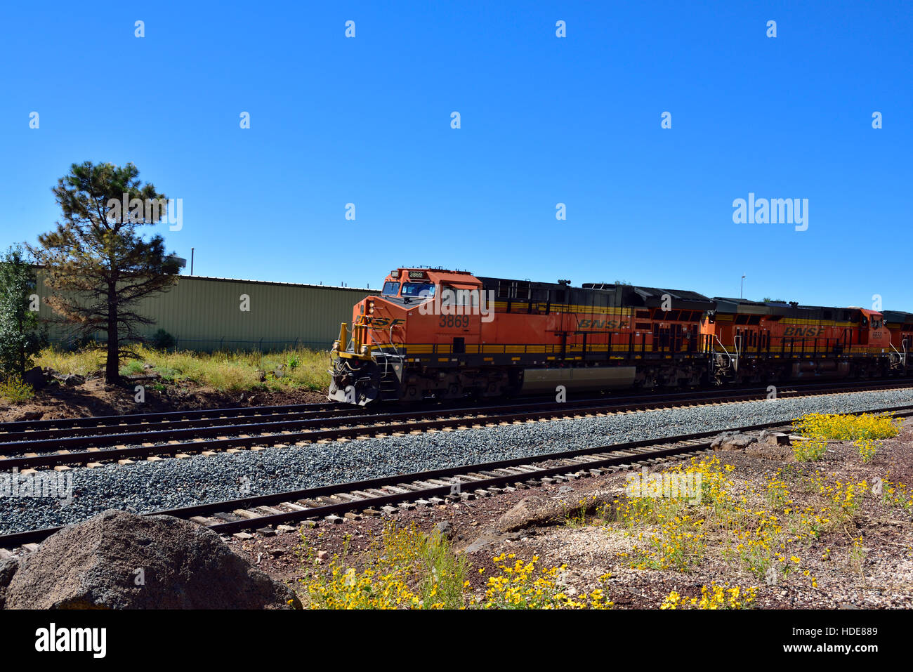 BNSF Diesellokomotiven auf Vorderseite des Zuges, Flagstaff, Arizona Stockfoto