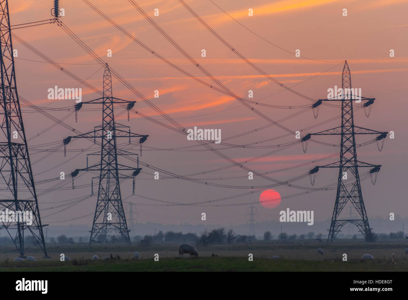 Powerr Linien und Masten bei Sonnenuntergang in NOrth Kent, in der Nähe von Higham Stockfoto